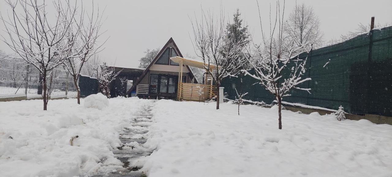 Cabana La Bica Magureni Exterior foto
